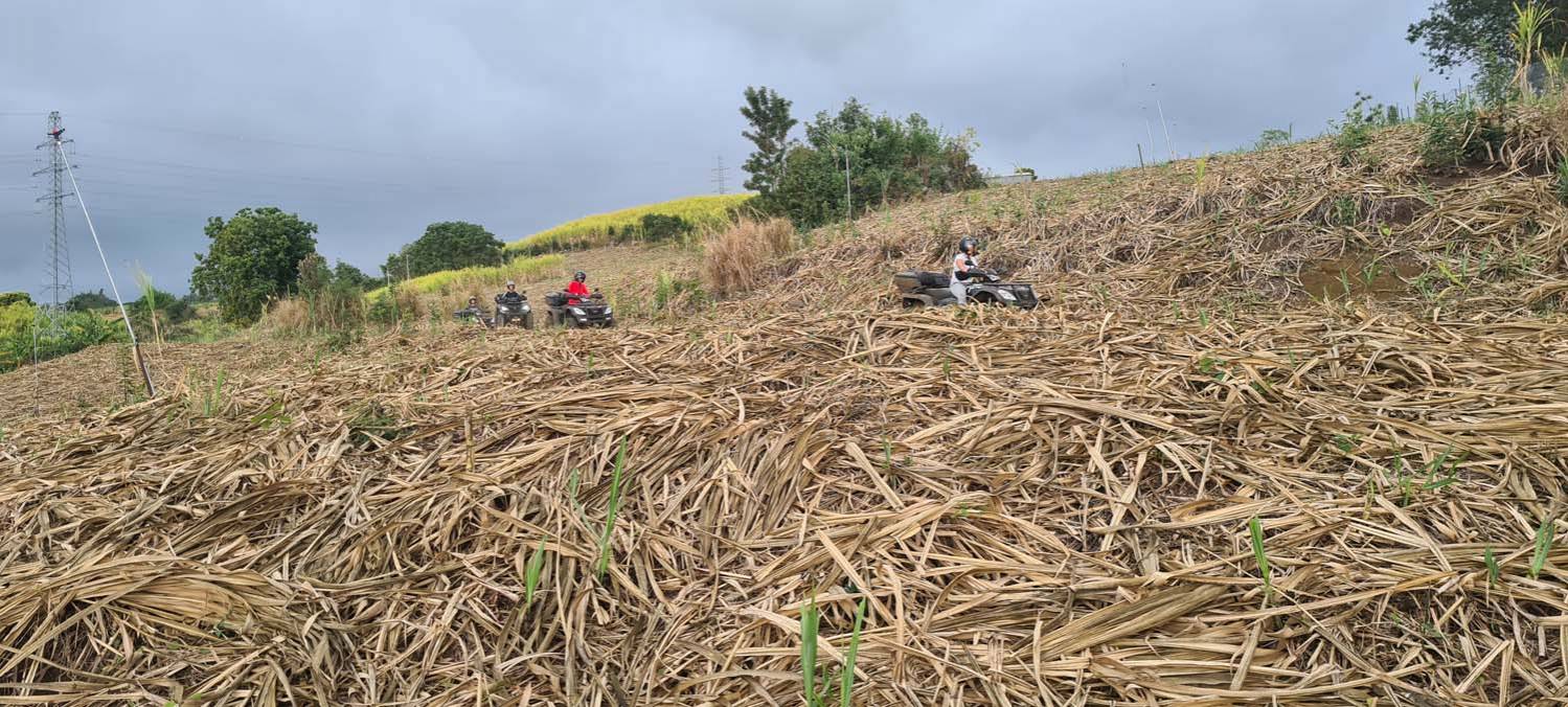 Les Quads de la plaine st Paul . Saint-Paul 974