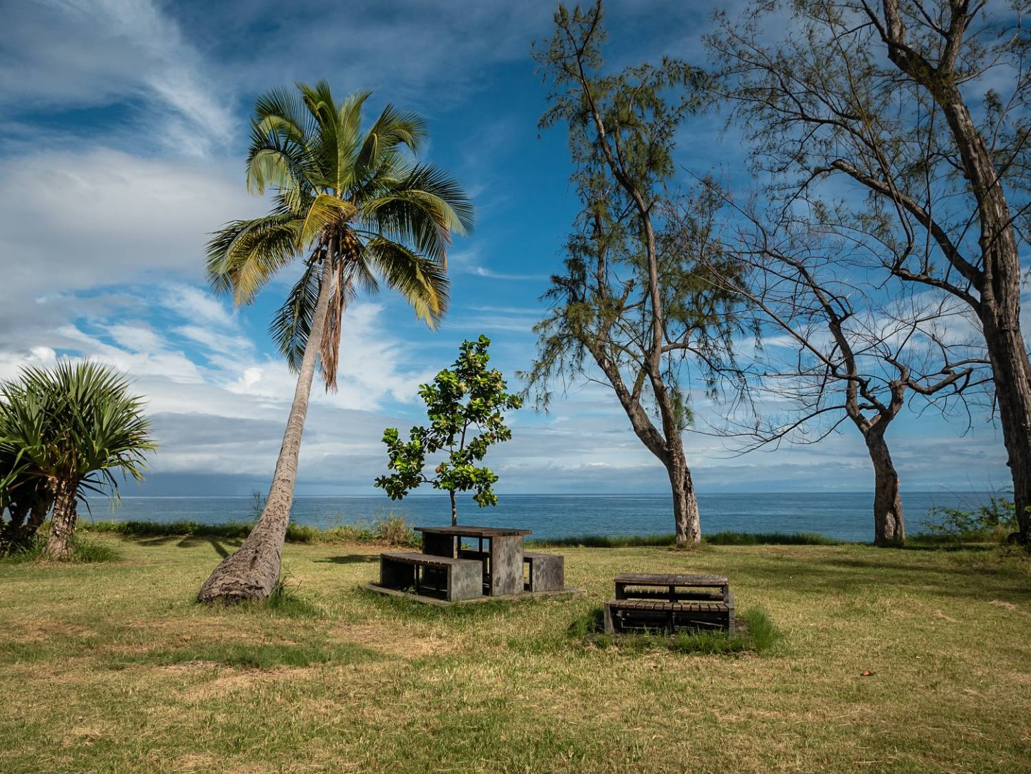 Randonnée facile à La Réunion : 7 sentiers accessibles à tous dans l'Ouest de l'île 974