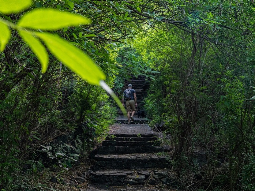 Randonnée facile à La Réunion : 7 sentiers accessibles à tous dans l'Ouest de l'île