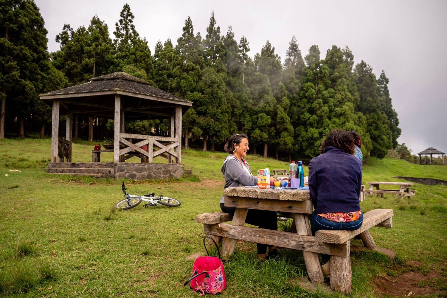 Noël à La Réunion : Activités et événements festifs pour petits et grands dans l?Ouest 974