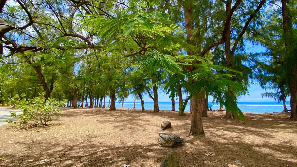 Plage de Saint-Leu 974