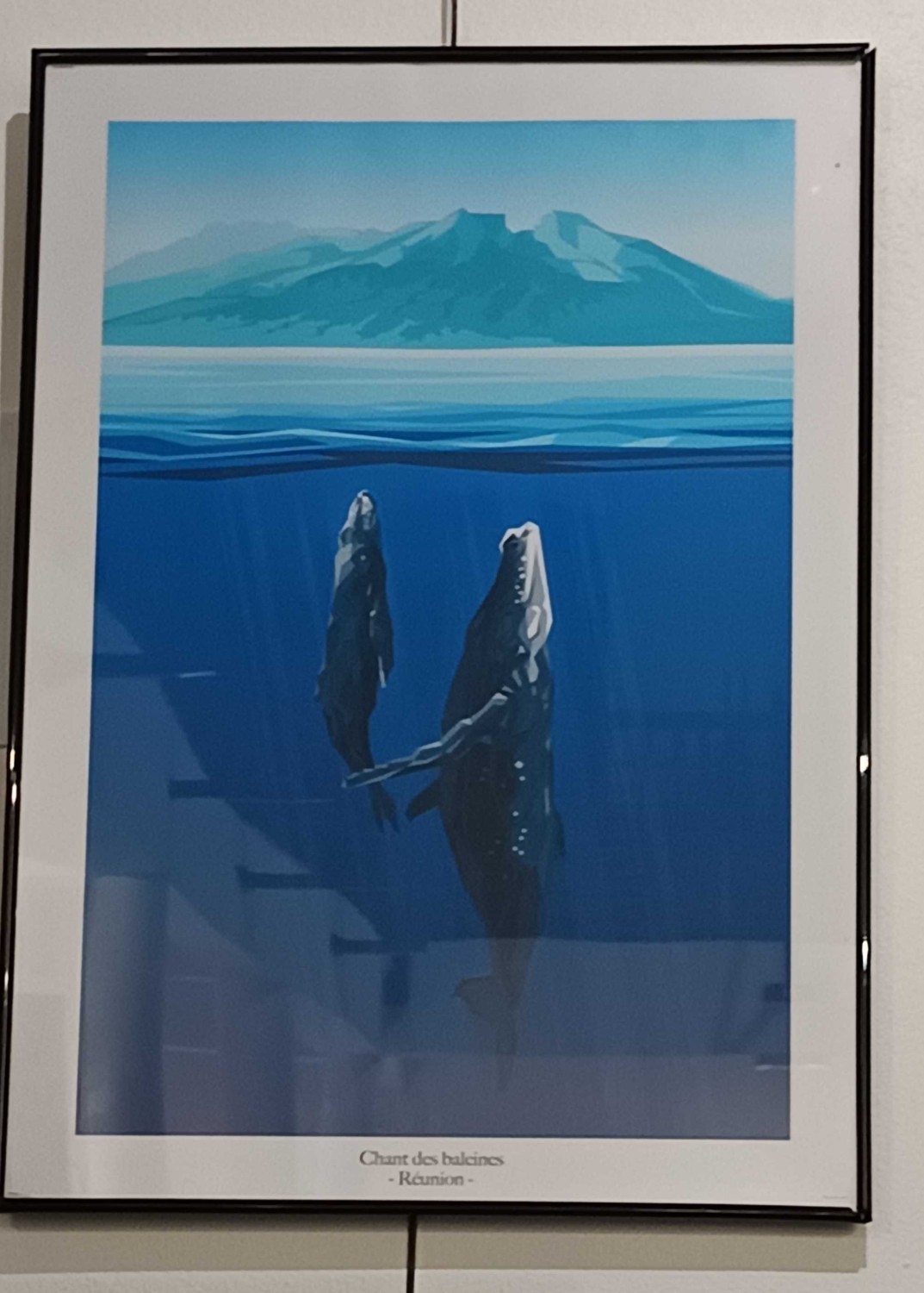 Poster chant des baleines 974