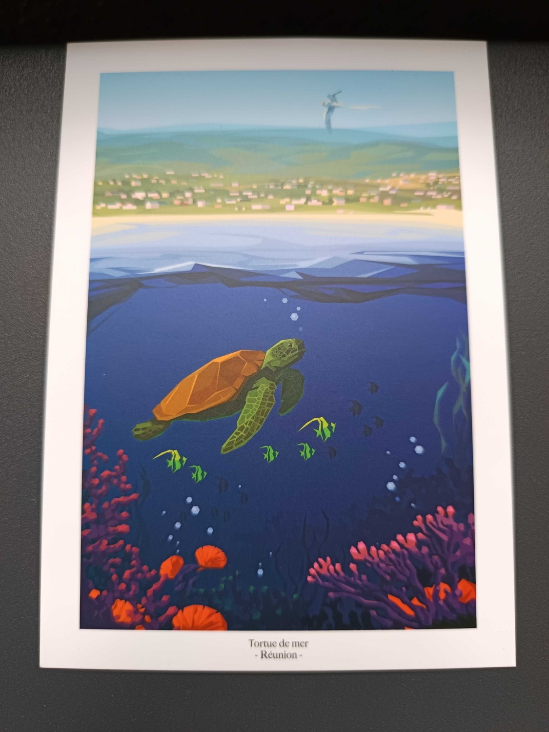 Carte postale tortue 974