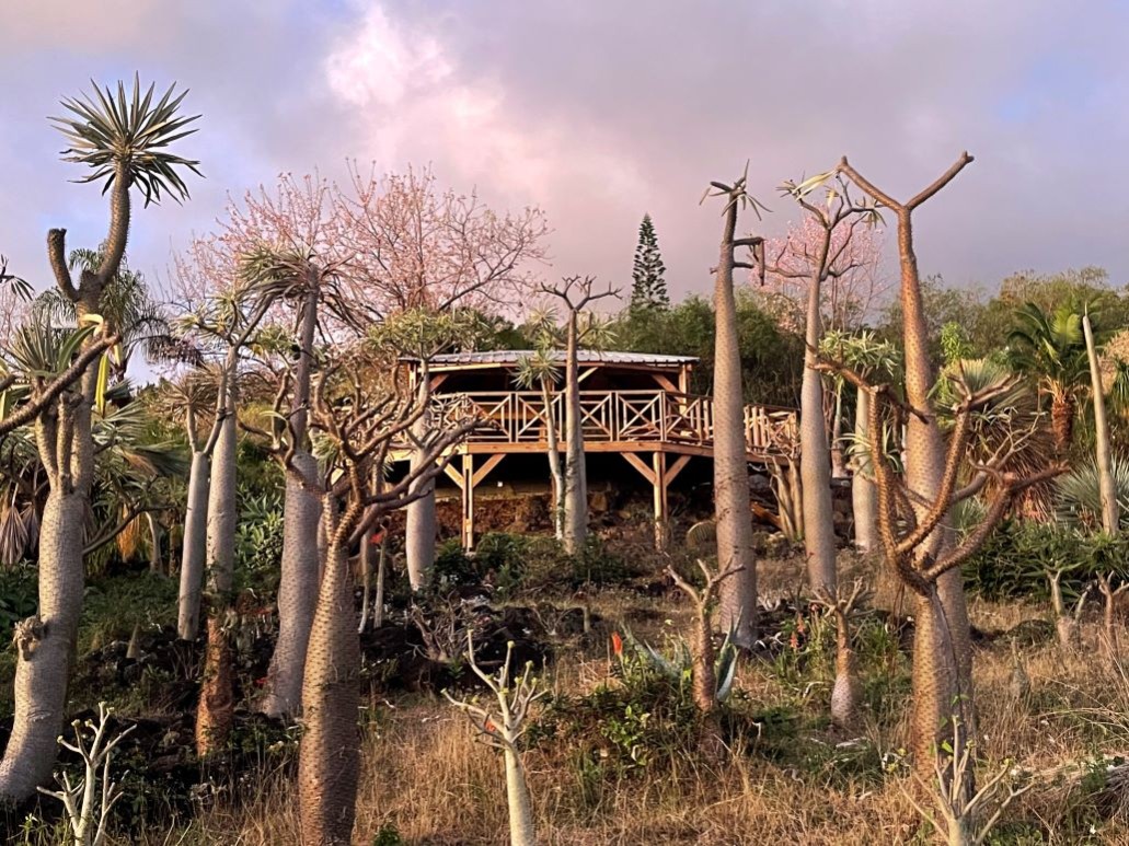 LE JARDIN NATUREL Saint-Leu 974