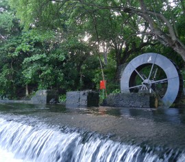 Le Site Du Moulin à Eau Visite Guidée Pédestre Agenda